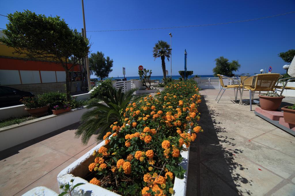Hotel Albatros Torre Vado Exterior photo